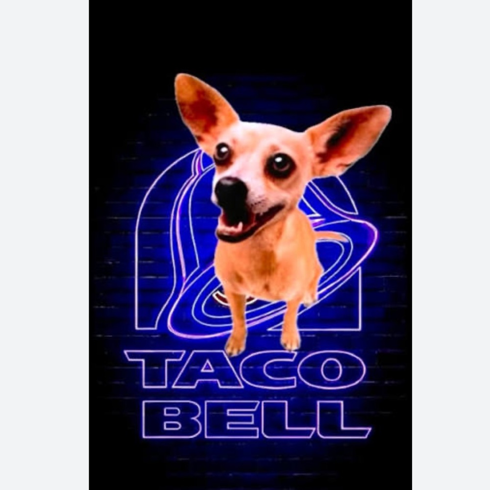 NIP Original Taco Bell Talking Chihuahua Toy Set
